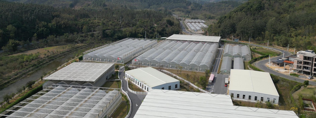 广东清远鳜鱼工厂化养殖示范基地
