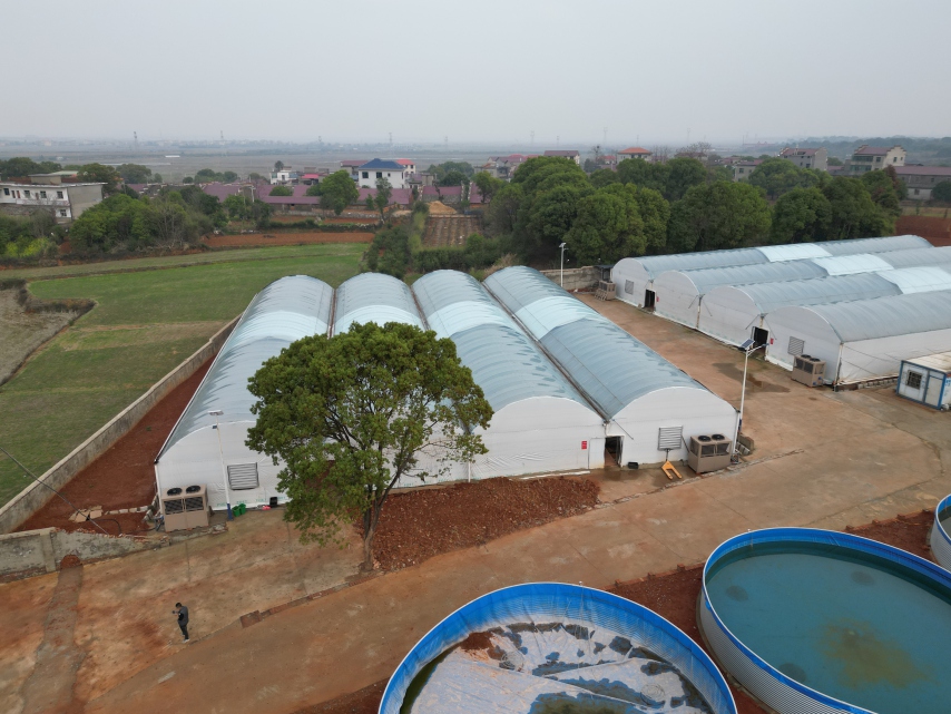 江西南昌循环水养殖基地恒温