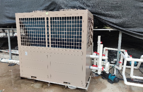 福建罗源海马养殖恒温